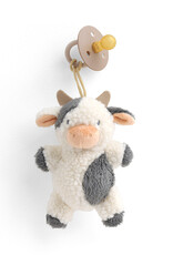 Itzy Ritzy Bitzy Pal Pacifier & Plush