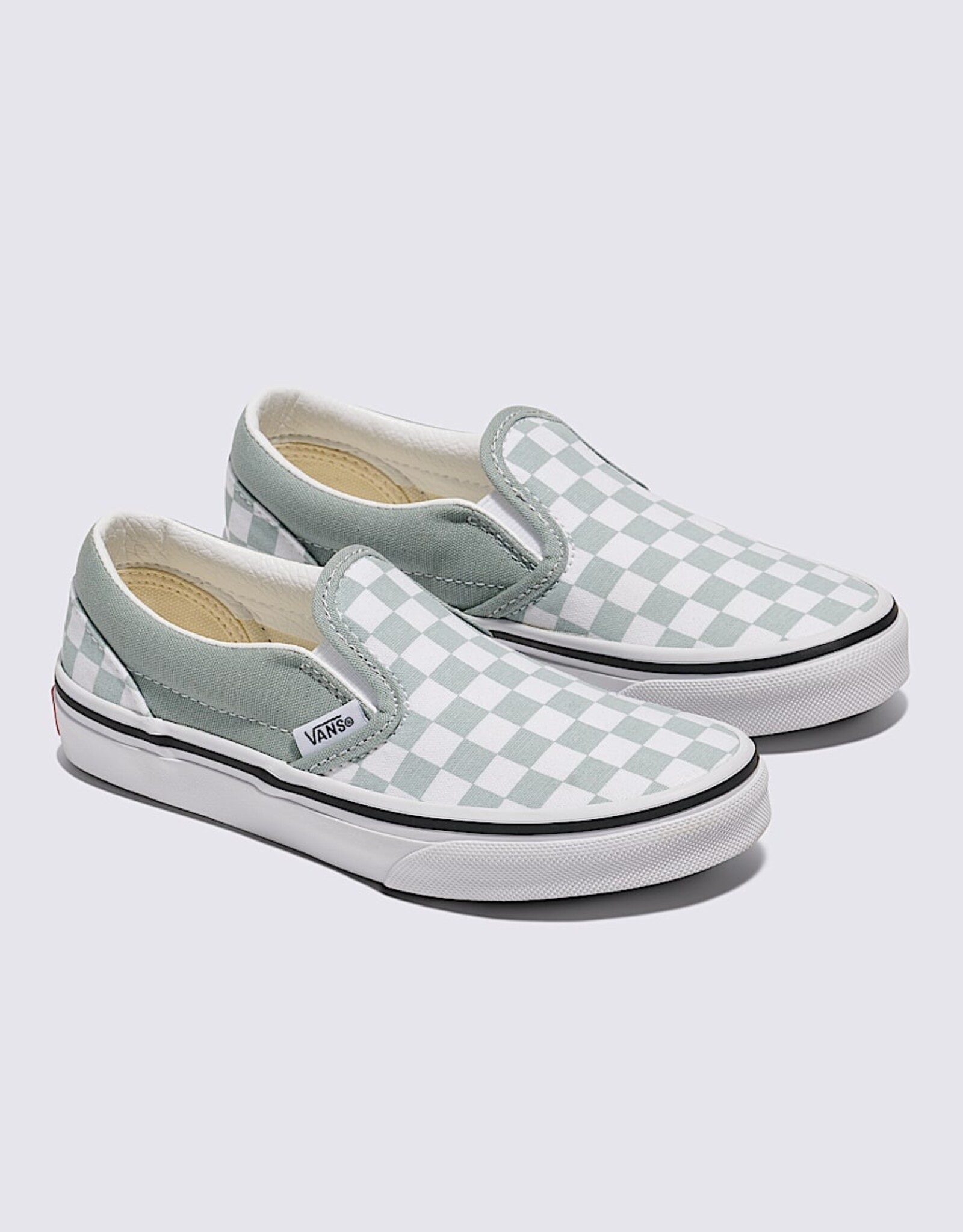 Vans SP25 ColorTheory Slip-On