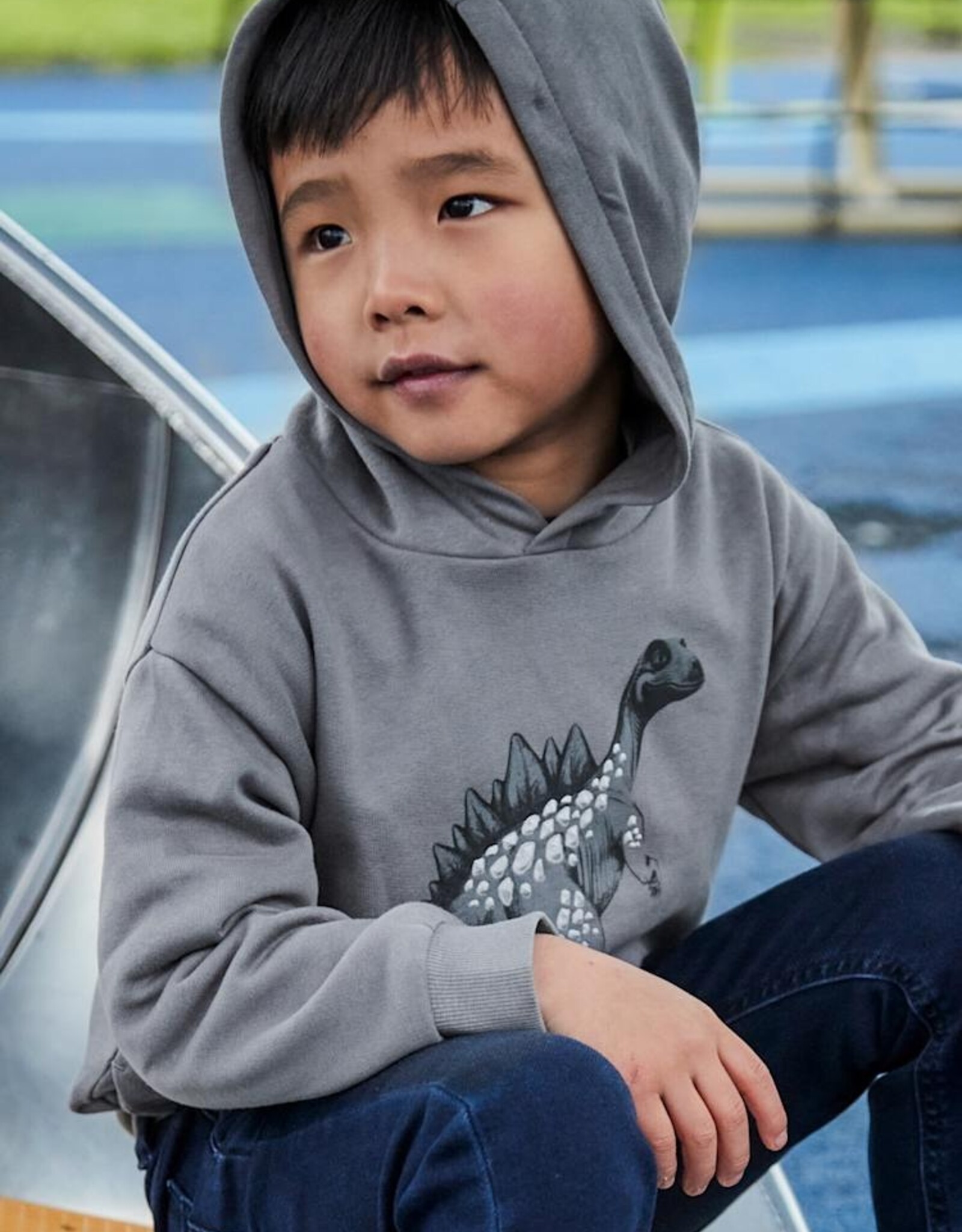 Mayoral FA25 B Embossed Dino Hood PO