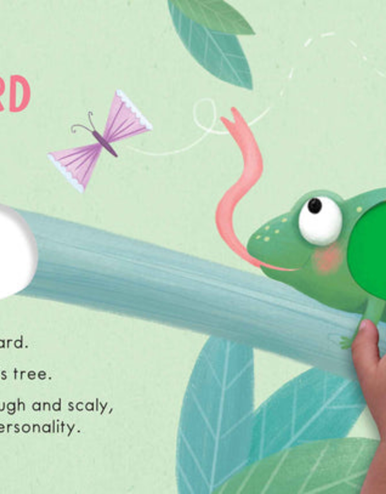 Little Hippo Books Wild Animals Touch & Feel