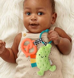 Itzy Ritzy Itzy Pal -