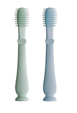 Baby Bliss Training Toothbrush 360