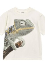 Miles SP26 B Gecko T-Shirt