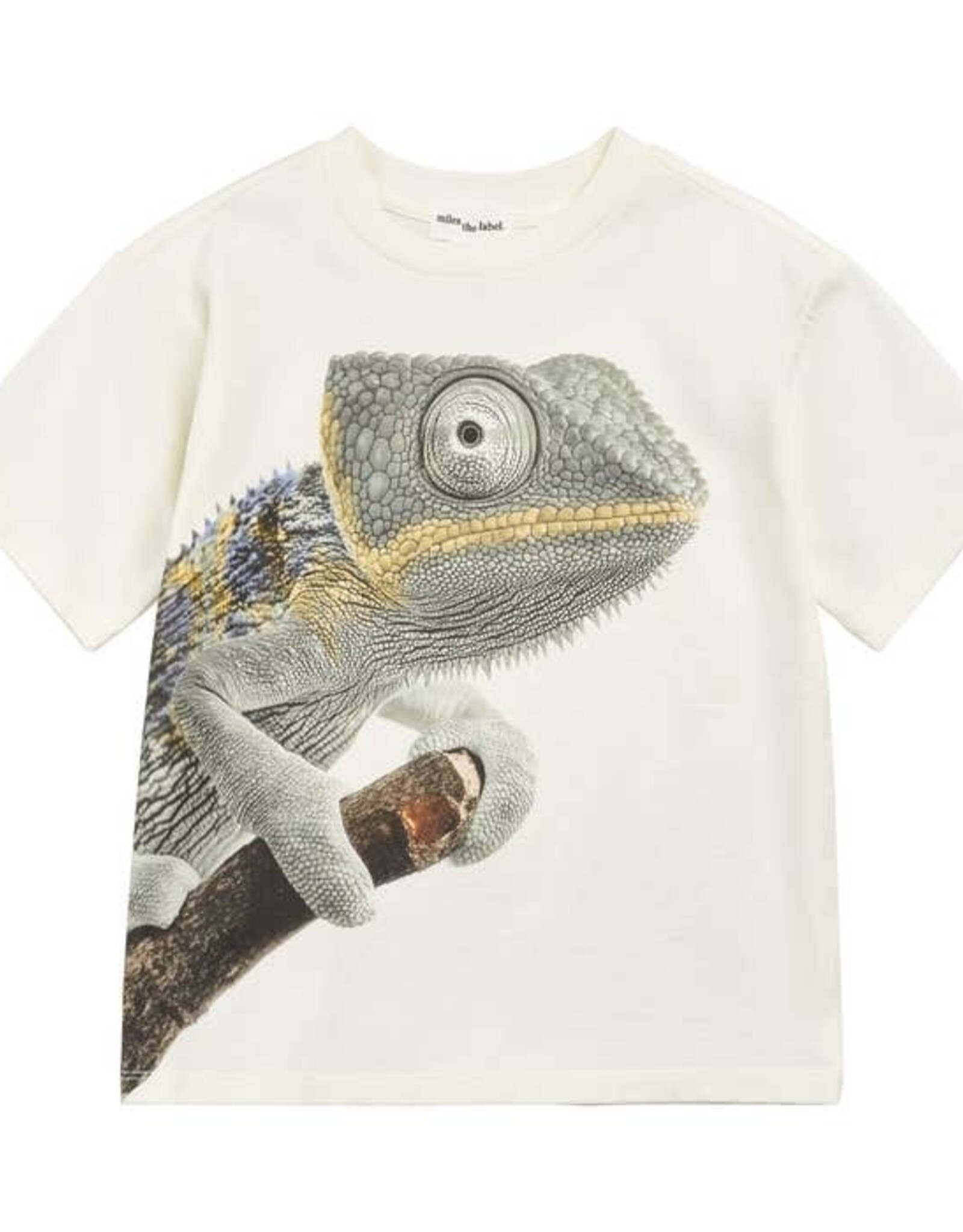Miles SP26 B Gecko T-Shirt