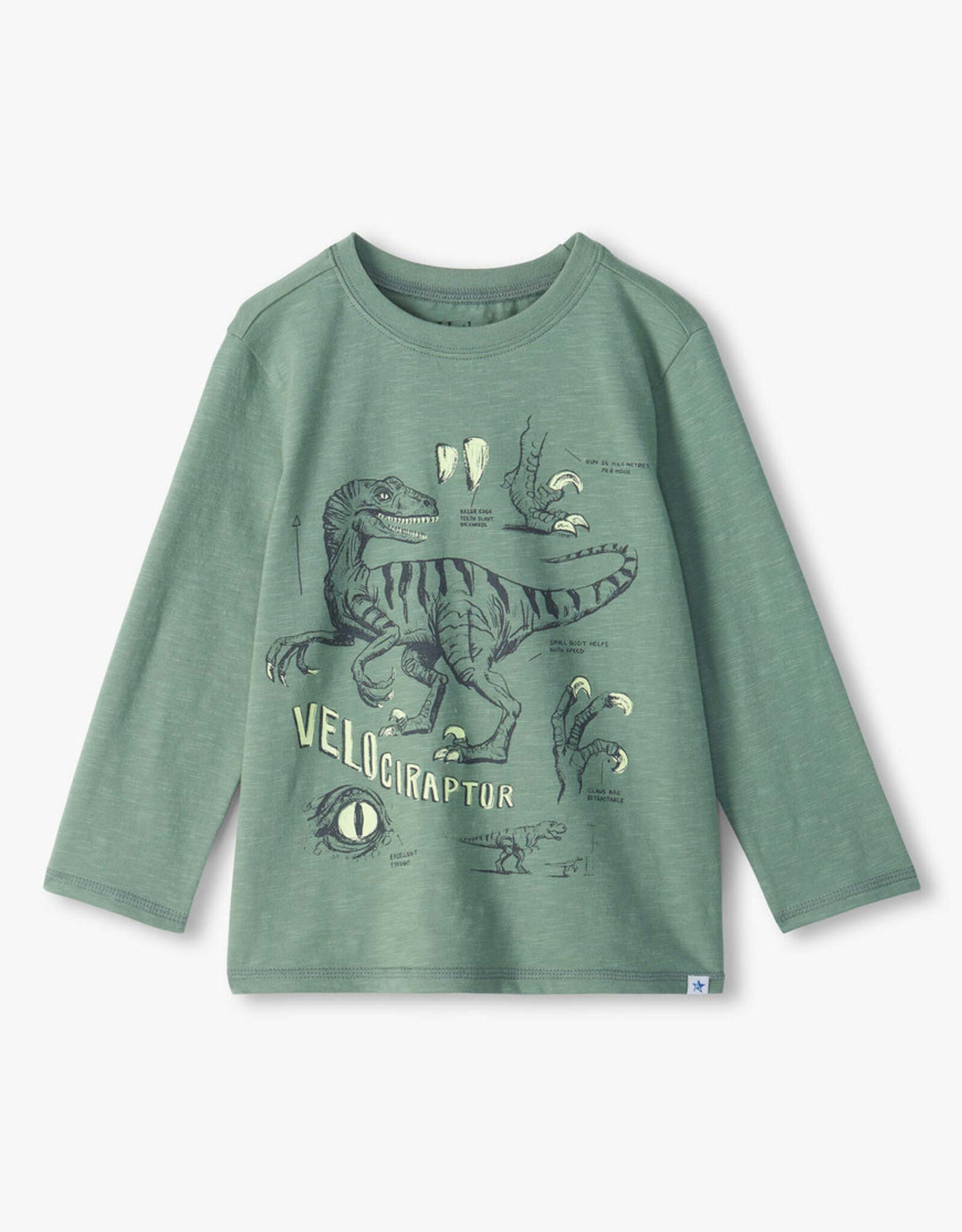 Hatley FA26 Velociraptor Top