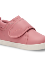 Stonz FA26 Kid Cruiser Everyday - Assorted