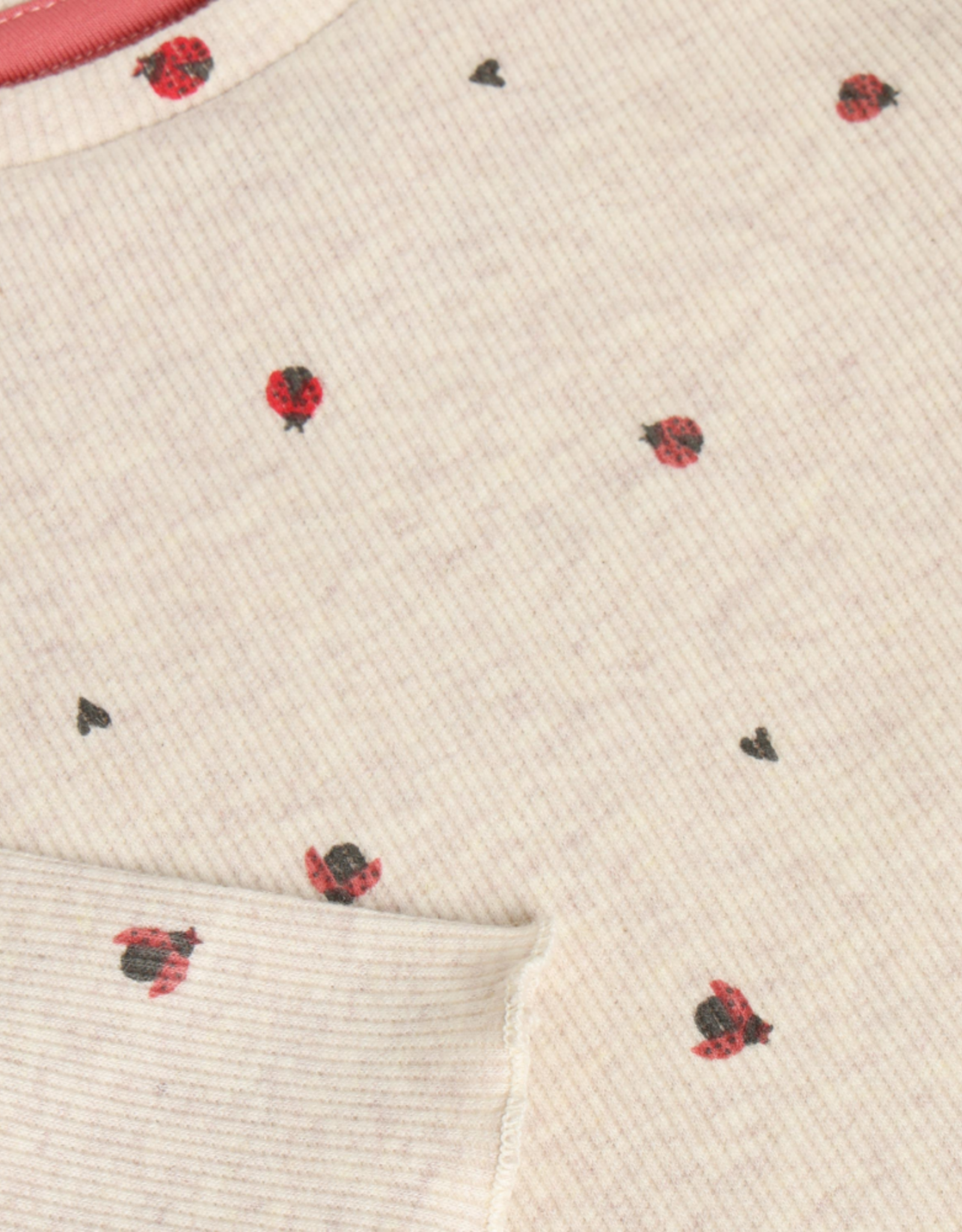 Noppies FA26 BG LadyBug LS Top