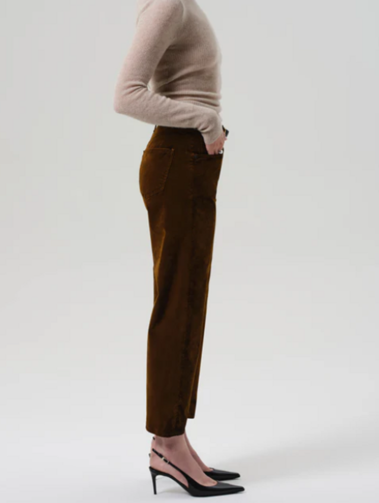 CITIZENS OF HUMANITY DELFINA VELVET PANTS