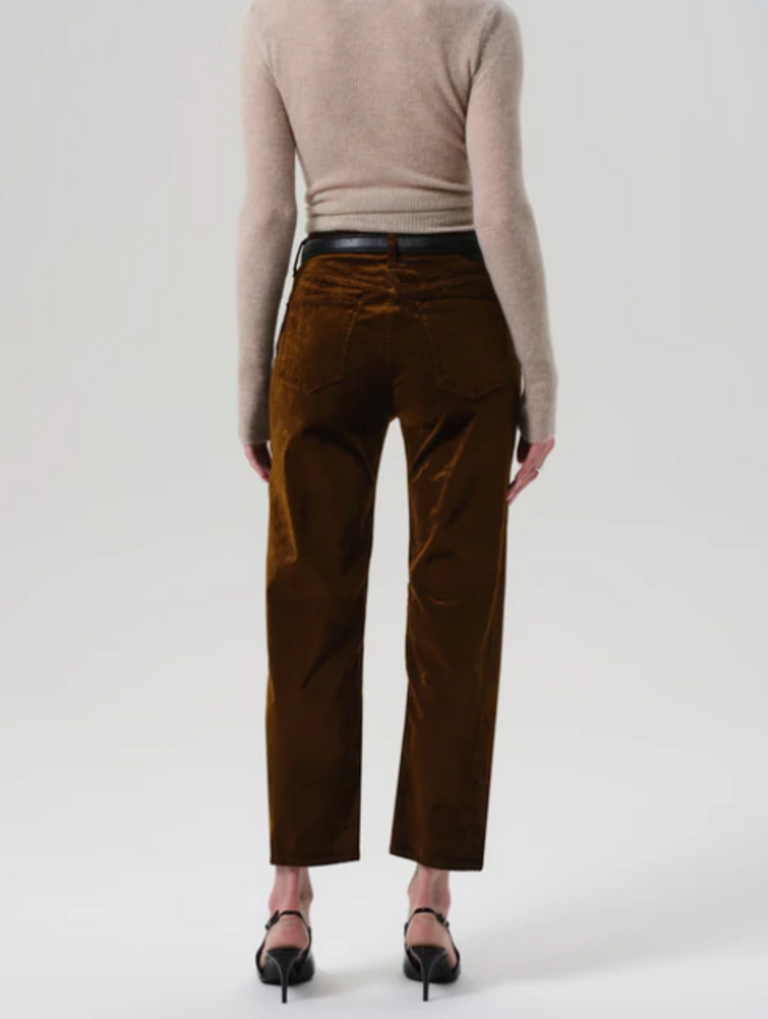 CITIZENS OF HUMANITY DELFINA VELVET PANTS