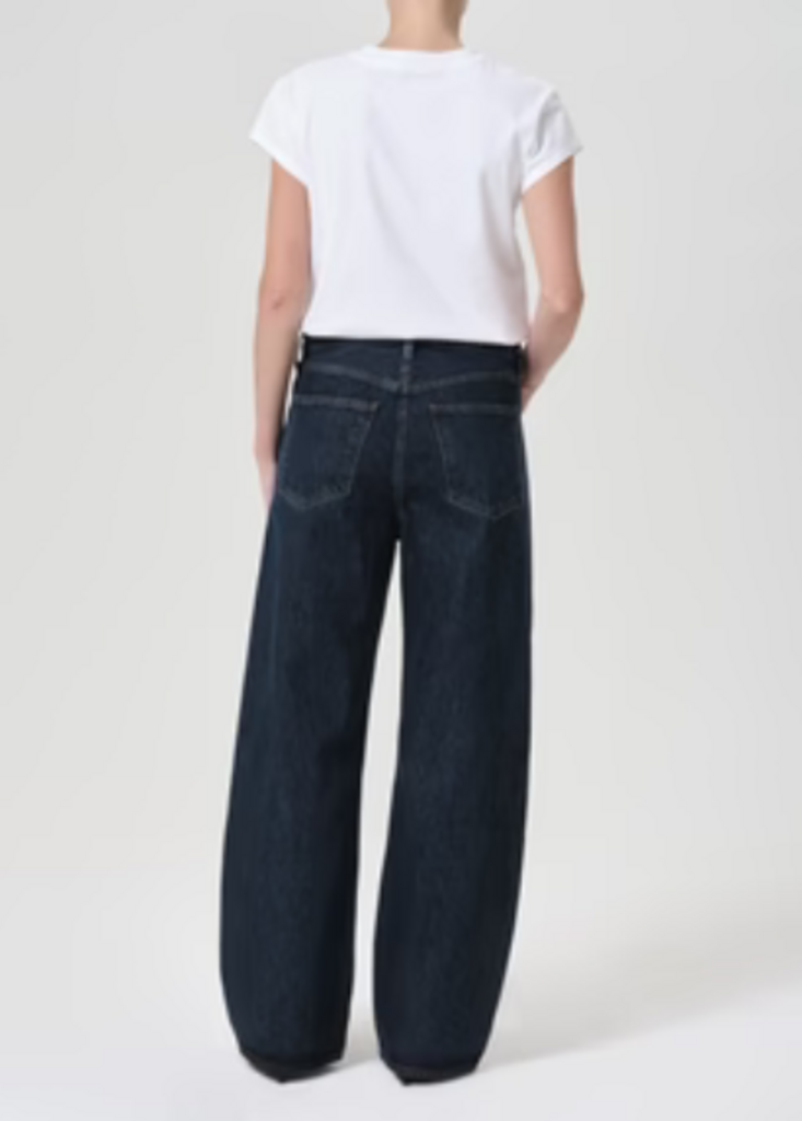AGOLDE LOW CURVE JEAN