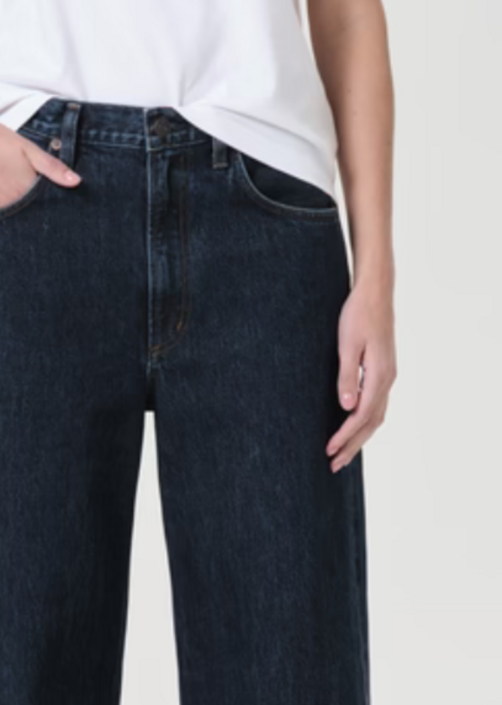 AGOLDE LOW CURVE JEAN