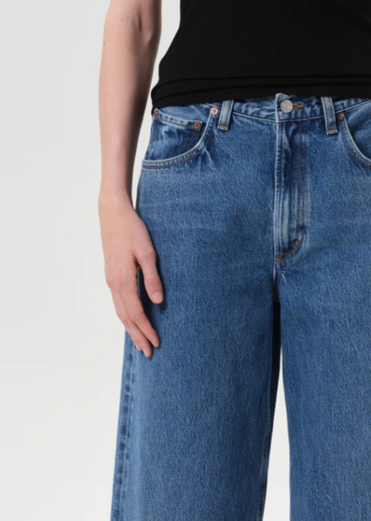 AGOLDE LOW CURVE JEAN