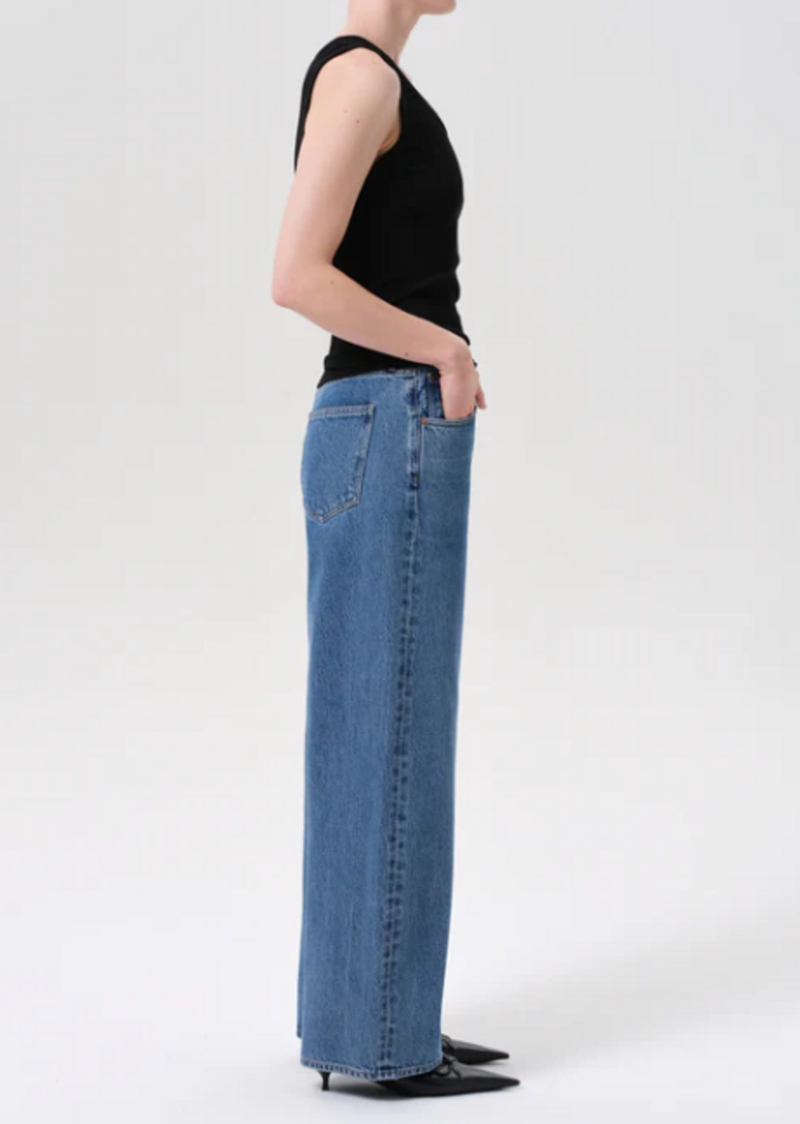 AGOLDE LOW CURVE JEAN