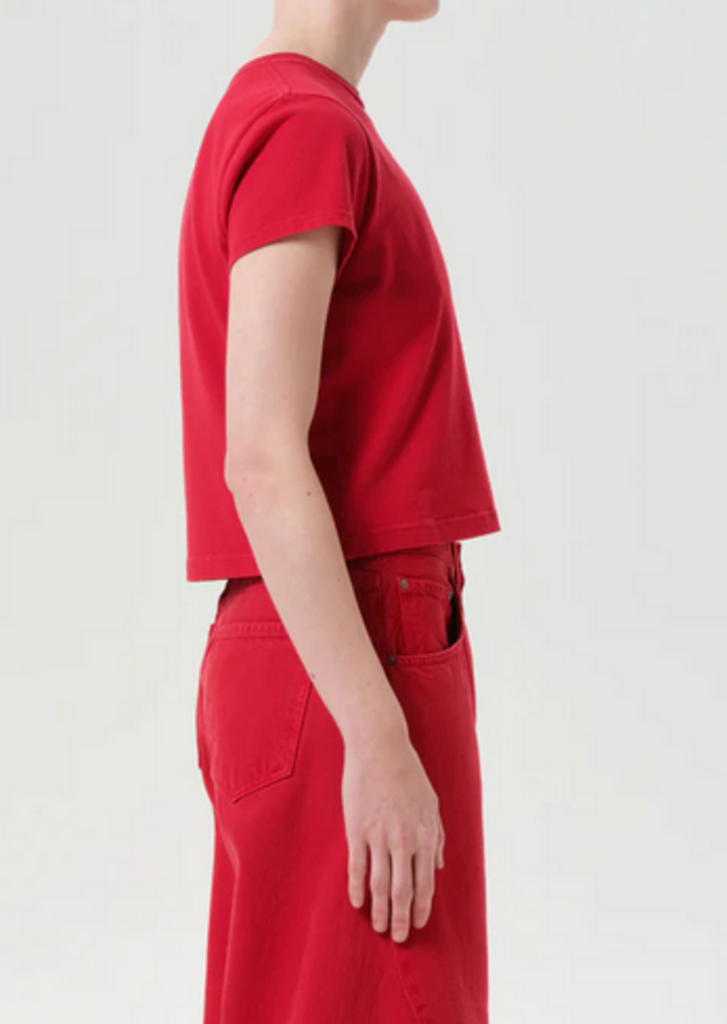 AGOLDE ADINE SHRUNKEN TEE