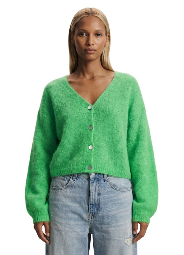 CORNELIA CROPPED