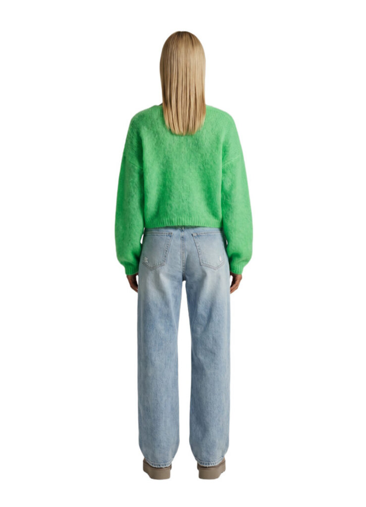 CORNELIA CROPPED