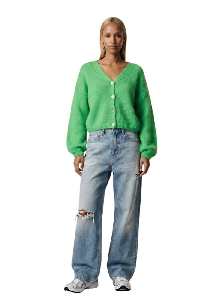 CORNELIA CROPPED