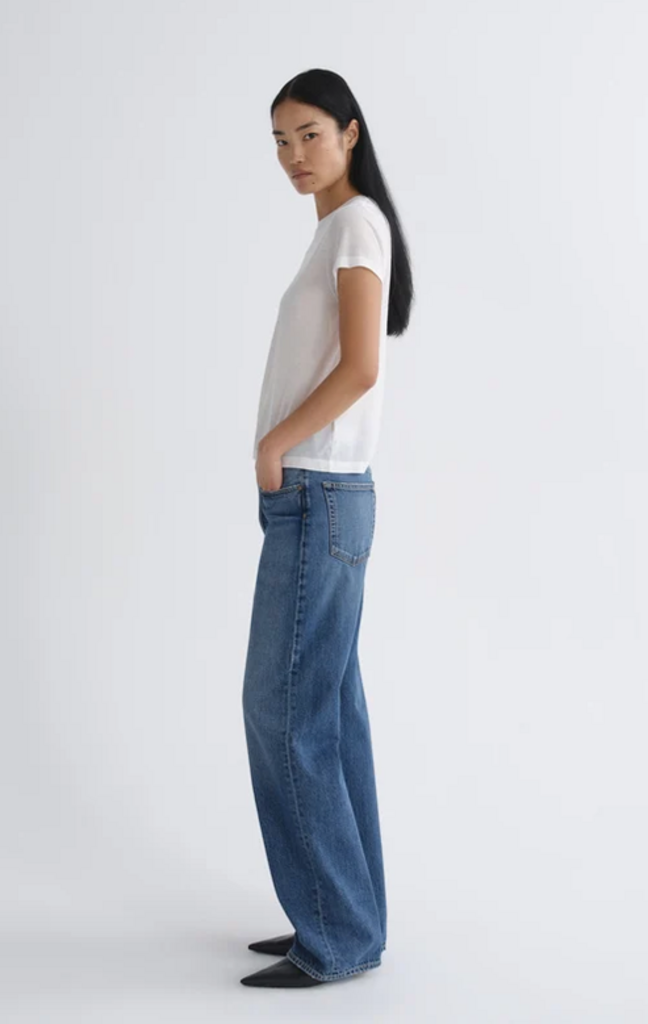 AGOLDE VINTAGE LOOSE JEAN