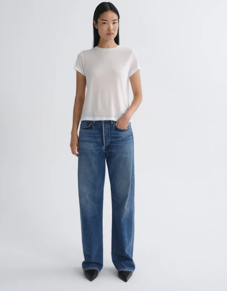 AGOLDE VINTAGE LOOSE JEAN