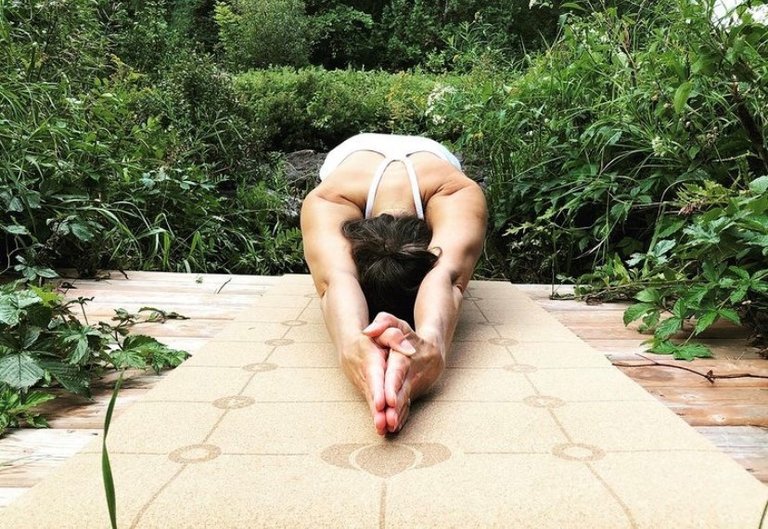 Gurugrid Alignment Cork Yoga Mat