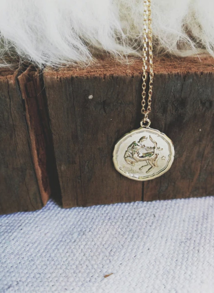 White Feather Designs Zodiac Medallion Necklace - Silver
