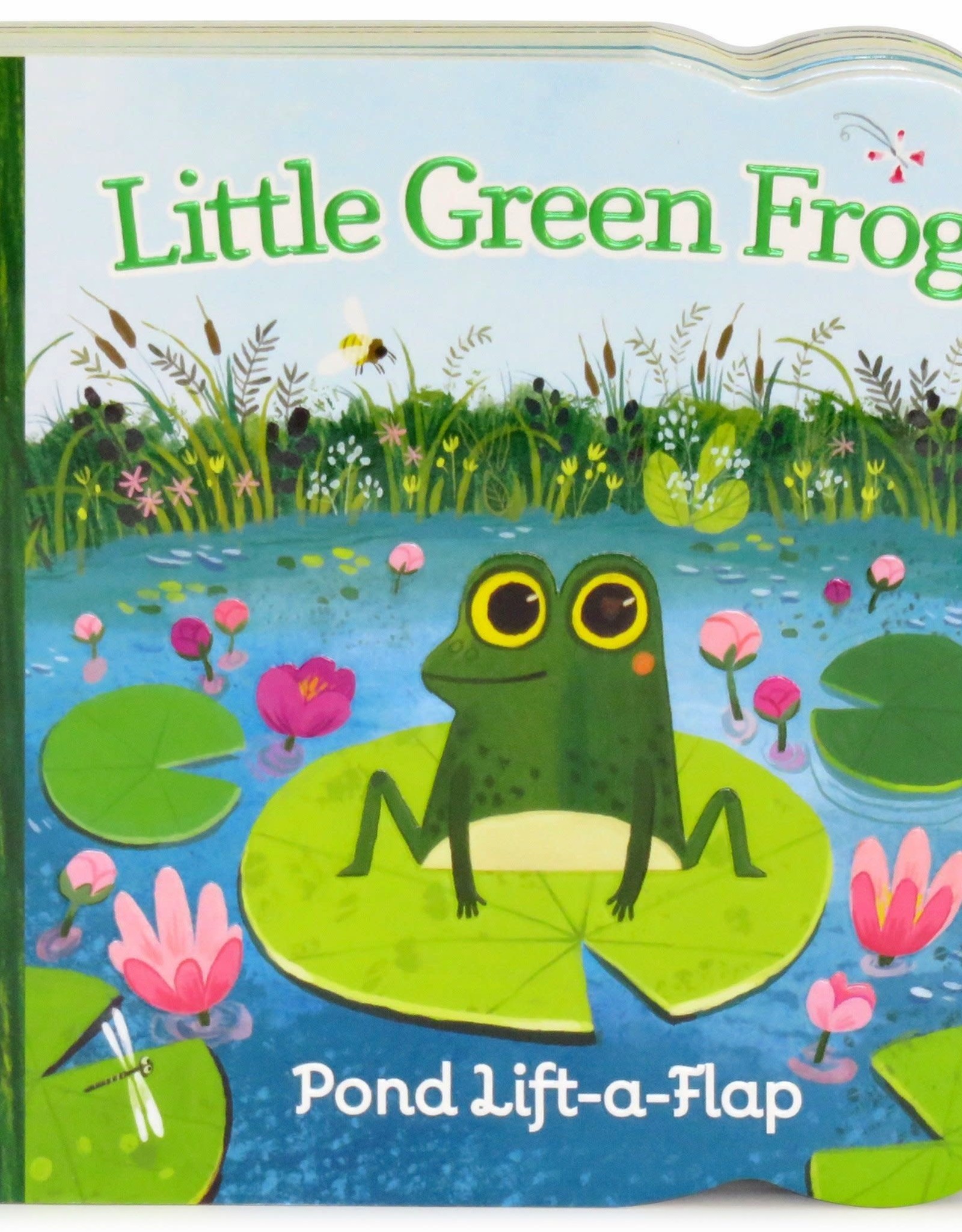 Little Green Frog board book