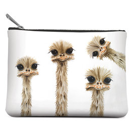 Small Zippered Pouch, Ostrich Family Reunion