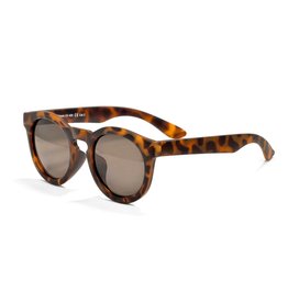 Real Shades Chill Sunglasses, Cheetah