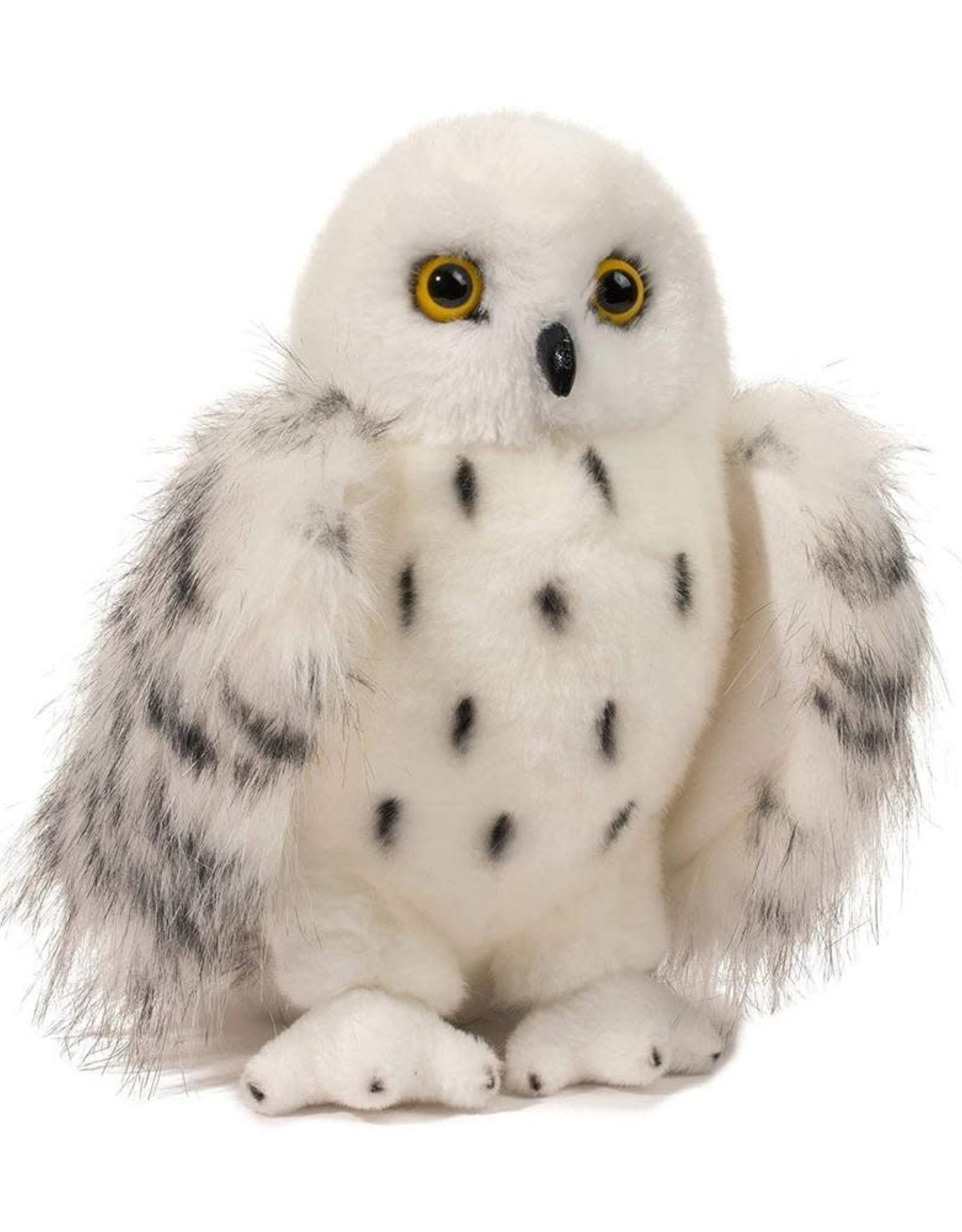 Douglas Wizard Snowy Owl