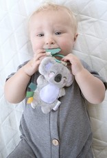 Itzy Pal Plus + Teether - Koala