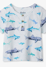 Hatley Watercolor Sharks Baby Henley