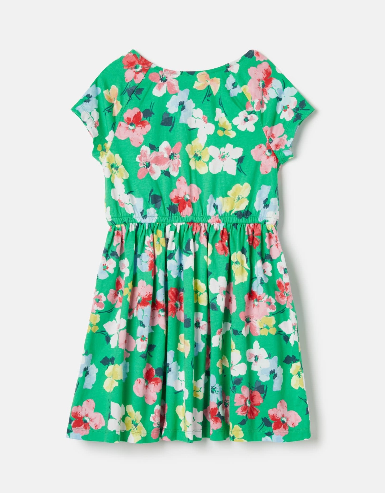 Joules Short Sleeve Jersey Dress Green Floral
