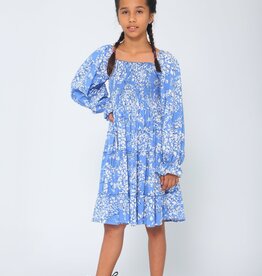 Joyous and Free Lacey Dress, Blue Floral