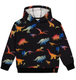 Deux Par Deux Printed French Terry Hoodie, Dinosaur Print