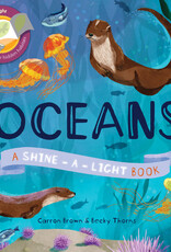 EDC Shine-a-Light, Oceans by Carron Thomas & Becky Thorns
