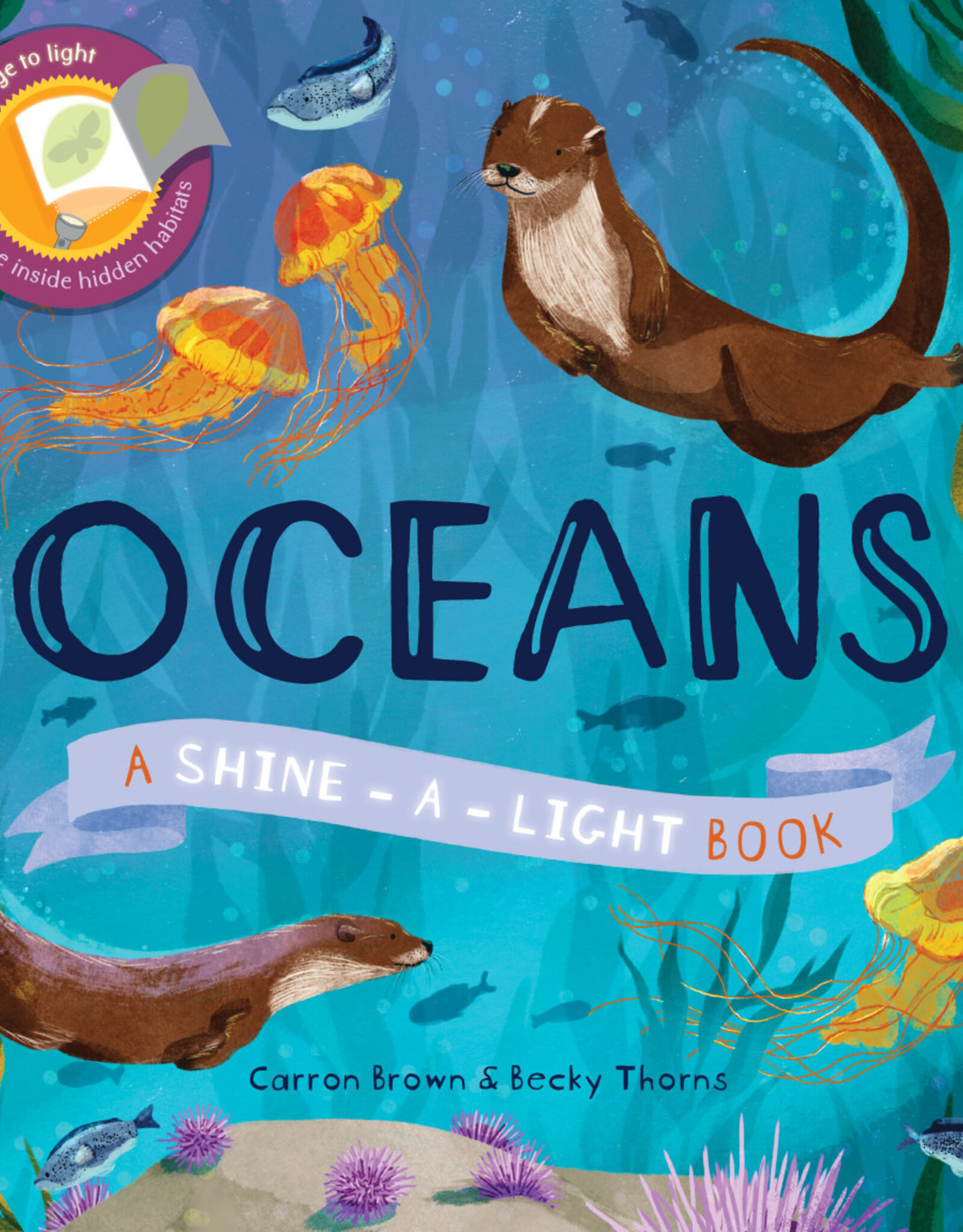 EDC Shine-a-Light, Oceans by Carron Thomas & Becky Thorns