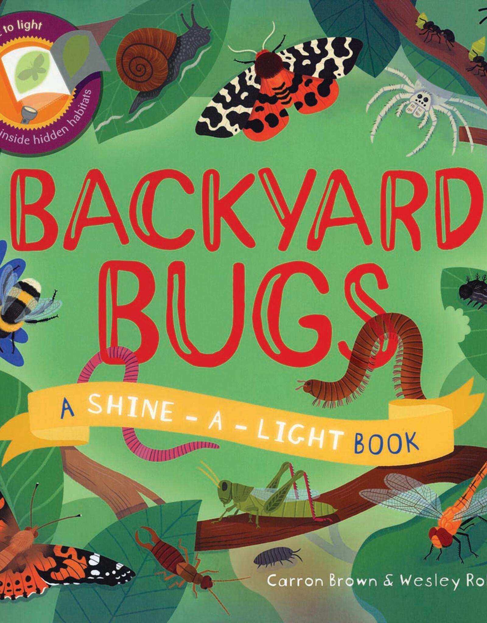 EDC Shine-a-Light, Bugs by Carron Thomas & Wesley Robins