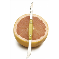 Grapefruit Knife Yellow