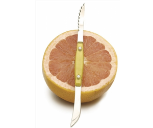 Enduarance Grapefruit Knife