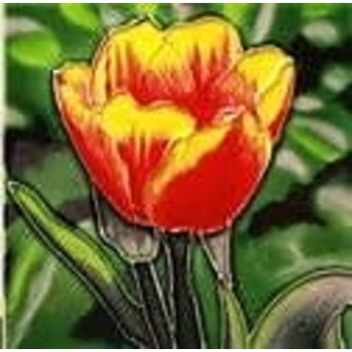 Benaya Handcrafted Art Decor Trivet TULIP PORTRAIT 6 inches square Benaya Handcrafted Art Decor Trivet TULIP PORTRAIT 6 inches square