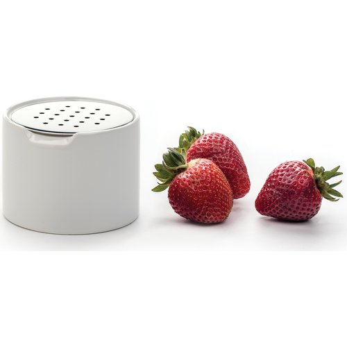 Endurance Fruit Fly Trap White Porcelain