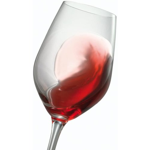 Spiegelau SPIEGELAU Profi Port / tasting glass Spiegelau SPIEGELAU Profi Port / tasting glass