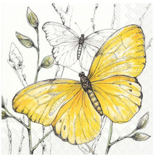 Carsim Napkin Cocktail Paper COLOURFUL BUTTERFLIES Yellow Carsim Napkin Cocktail Paper COLOURFUL BUTTERFLIES Yellow