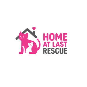Carol’s Nicetys Donation $3 Home at Last Cat Rescue