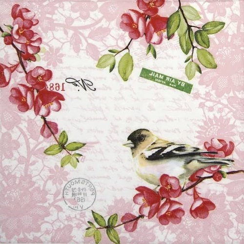 OCD Napkin Cocktail Paper Sweet Bird OCD Napkin Cocktail Paper Sweet Bird