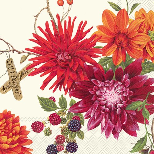 IHR Dahlia Garden Cream Cocktail Napkins IHR Dahlia Garden Cream Cocktail Napkins
