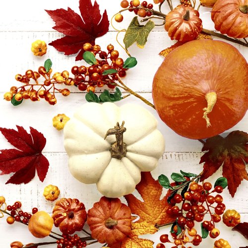 OCD Napkin Cocktail Paper PUMPKIN & LEAVES OCD Napkin Cocktail Paper PUMPKIN & LEAVES