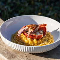 Textured Shallow Bowl BIA