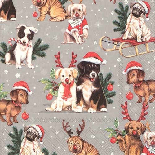 IHR Napkin Lunch Paper DOGS CELEBRATION GREY IHR Napkin Lunch Paper DOGS CELEBRATION GREY
