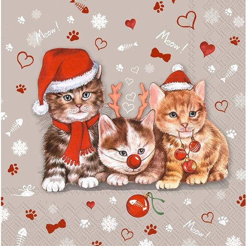 IHR Napkin Lunch Paper CATS CELEBRATION GREY IHR Napkin Lunch Paper CATS CELEBRATION GREY